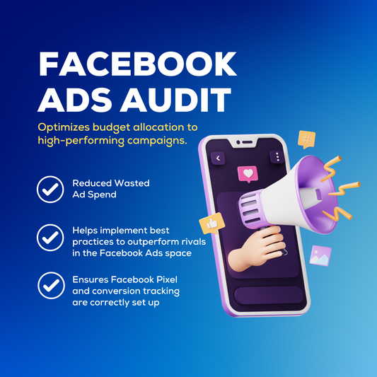 Social PPC Audit